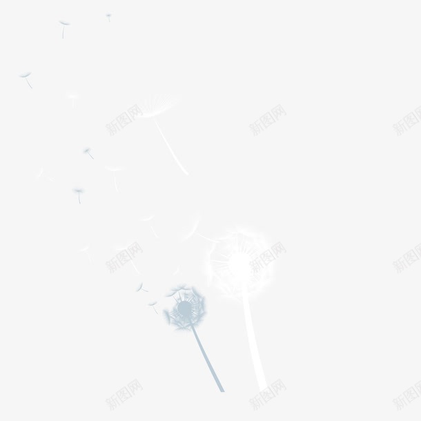 蒲公英矢量图ai免抠素材_新图网 https://ixintu.com 手绘蒲公英矢量图 蒲公英 蒲公英免费png下载 蒲公英素材 矢量图