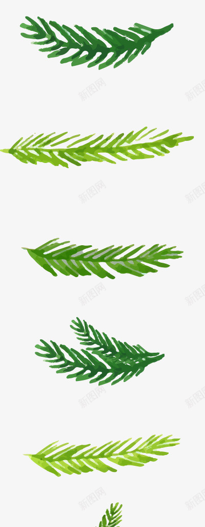 圣诞节水彩植物装饰矢量图ai免抠素材_新图网 https://ixintu.com 圣诞节 植物 水彩 装饰 矢量图