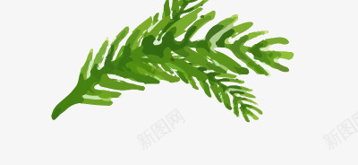 圣诞节水彩植物装饰矢量图ai免抠素材_新图网 https://ixintu.com 圣诞节 植物 水彩 装饰 矢量图