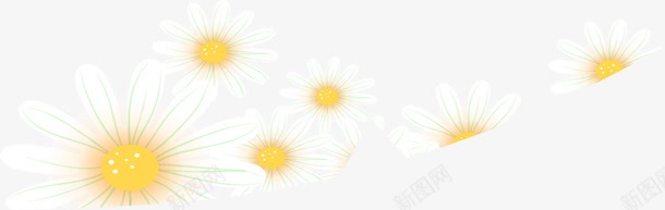 白色的向日葵png免抠素材_新图网 https://ixintu.com 向日葵 白色 素材