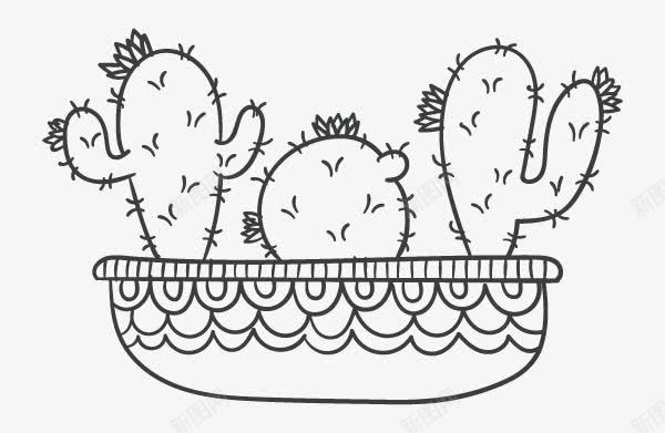 植物仙人掌黑白图案png免抠素材_新图网 https://ixintu.com 仙人掌图案 仙人掌黑白图案 植物仙人掌图案 植物仙人掌黑白图案