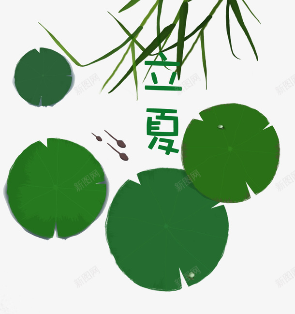 手绘装饰插图立夏节气png免抠素材_新图网 https://ixintu.com 小蝌蚪卡通 手绘 柳枝 立夏 节气 荷塘 蝌蚪 装饰插图