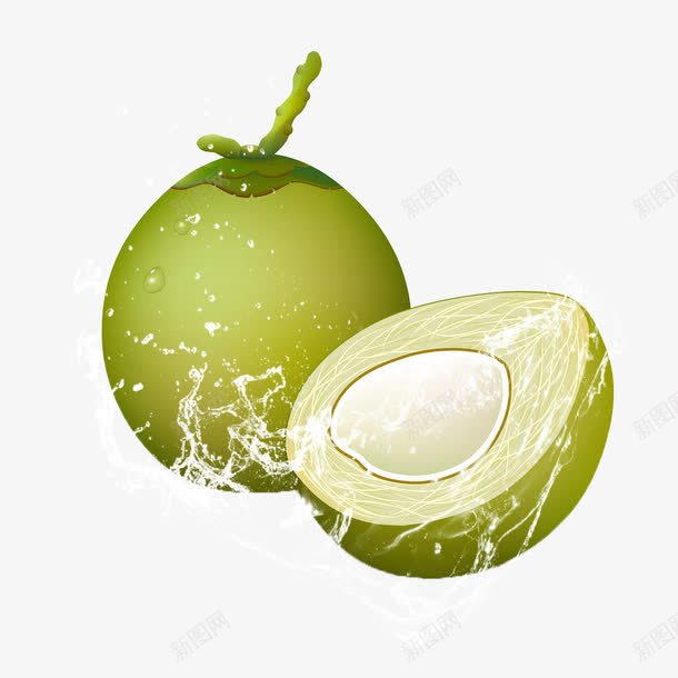 新鲜未成熟的椰子png免抠素材_新图网 https://ixintu.com 果实 椰子 水果 绿果