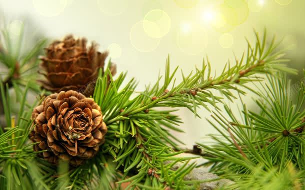 绿色树叶梦幻花朵jpg设计背景_新图网 https://ixintu.com 树叶 梦幻 绿色 花朵