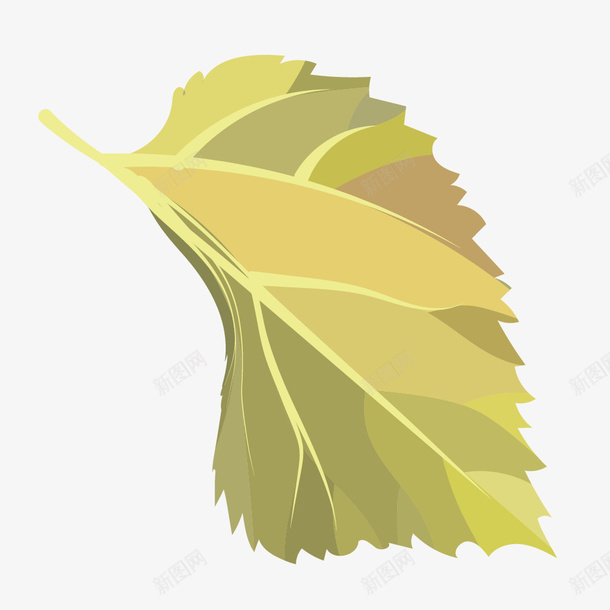 手绘树叶装饰画png免抠素材_新图网 https://ixintu.com 卡通装饰 小清新插画 广告设计 树叶装饰画 海报设计 简约树叶插画