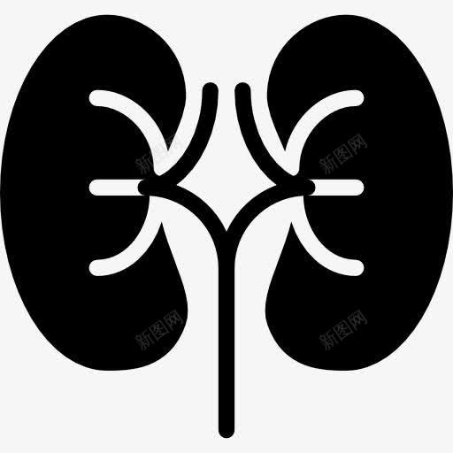 肾图标png_新图网 https://ixintu.com 医学 器官 泌尿科 肾脏 肾脏泌尿科 解剖