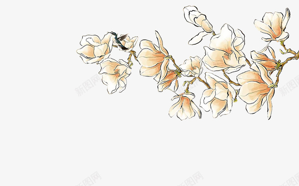 白色木棉花中国风png免抠素材_新图网 https://ixintu.com 中国风 古风 木棉花 木棉花树 花鸟