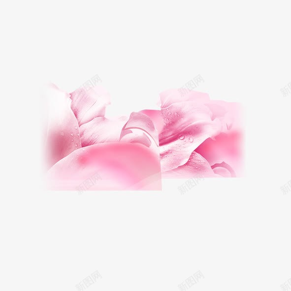 电商唯美背景图png免抠素材_新图网 https://ixintu.com 唯美 浪漫 电商 背景 装饰