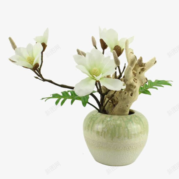 白色广玉兰复古花瓶软装装饰png免抠素材_新图网 https://ixintu.com 复古 复古花瓶 玉兰 白色 花瓶 装饰 装饰花瓶