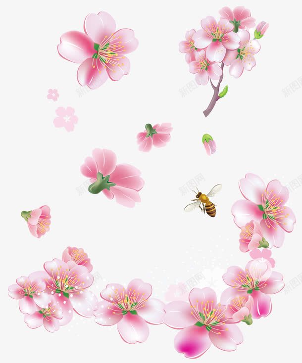 蜂随花动png免抠素材_新图网 https://ixintu.com 桃花 漫天 粉色 花飘落 蜂 飞舞