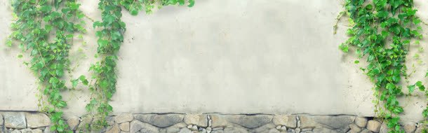 绿色背景bannerjpg背景图_新图网 https://ixintu.com 绿色 背景 banner