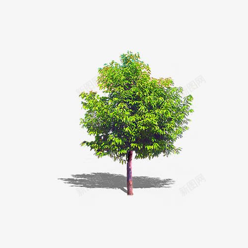 绿色小树苏打苏塔png免抠素材_新图网 https://ixintu.com 卡通 小树 手绘 树木 绿色 苏打苏塔
