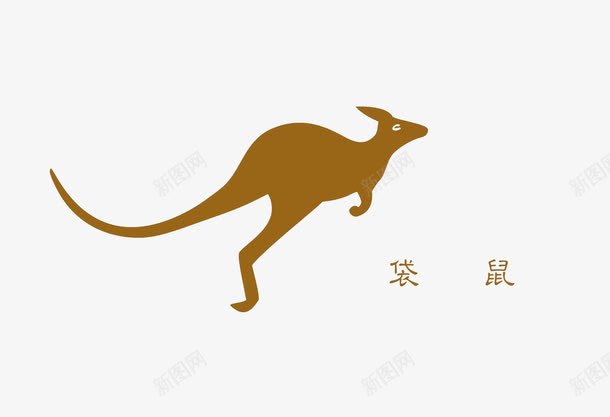 跳跃的袋鼠png免抠素材_新图网 https://ixintu.com 动物 袋鼠 跳跃