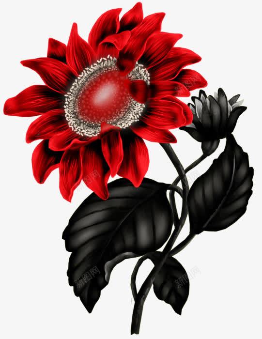 红色魔鬼花png免抠素材_新图网 https://ixintu.com 向日葵 暗黑 红色