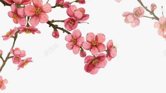 手绘桃花红色桃花植物png免抠素材_新图网 https://ixintu.com 手绘 桃花 植物 红色