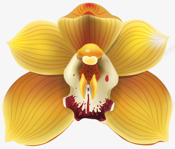 有条纹的蝴蝶花png免抠素材_新图网 https://ixintu.com 可爱 条纹 清新 花朵 蝴蝶花 黄色