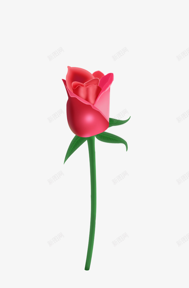 520情人节玫瑰节日装饰png免抠素材_新图网 https://ixintu.com 520情人节 爱情 玫瑰花 节日
