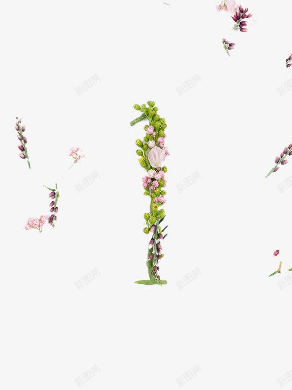 绿色植物背景png免抠素材_新图网 https://ixintu.com 化妆品 化妆品素材 植物 植物素材 绿色叶子 背景装饰