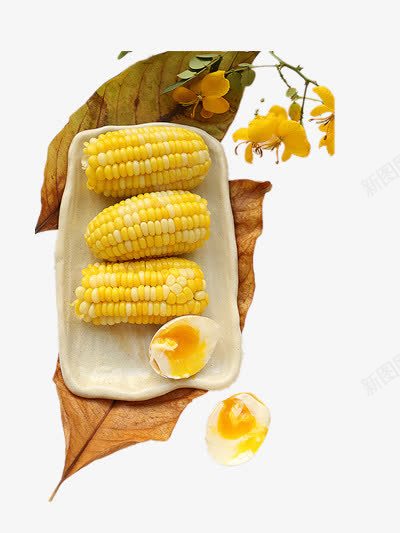 新鲜玉米png免抠素材_新图网 https://ixintu.com 美食 蔬菜 食物 鸡蛋