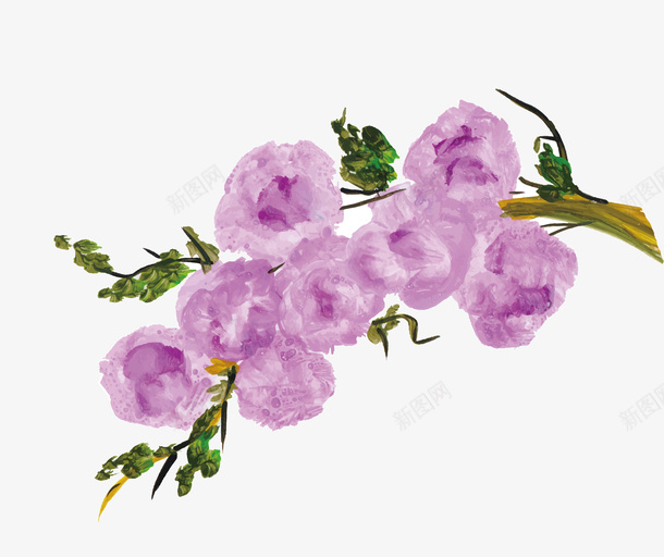 水彩手绘紫色花卉矢量图ai免抠素材_新图网 https://ixintu.com 手绘花卉 水彩手绘花卉 水彩花卉 矢量png 紫色花卉 花卉 矢量图