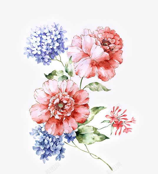 手绘花朵png免抠素材_新图网 https://ixintu.com 手绘 红色大花 蓝色小花 风信子 鲜花
