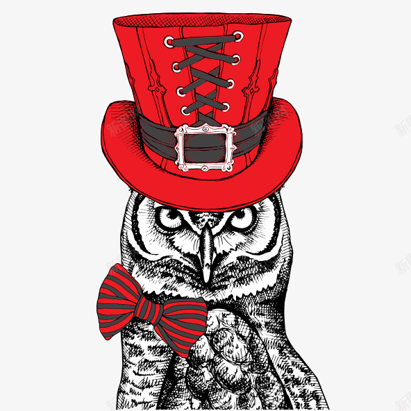卡通手绘猫头鹰psd免抠素材_新图网 https://ixintu.com 卡通 手绘 猫头鹰 红帽子