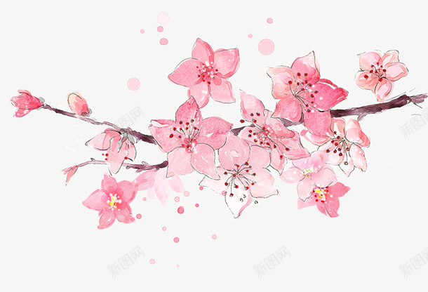 少女心的花瓣png免抠素材_新图网 https://ixintu.com 女 少 心 瓣 的 花