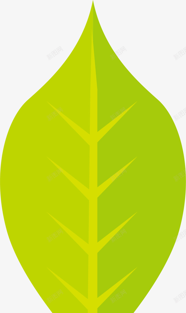 发青的树叶矢量图eps免抠素材_新图网 https://ixintu.com 发青 叶子轮廓 树叶 树叶轮廓 树叶边界 轮廓 矢量图