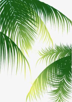 椰子树叶绿色背景图矢量图素材