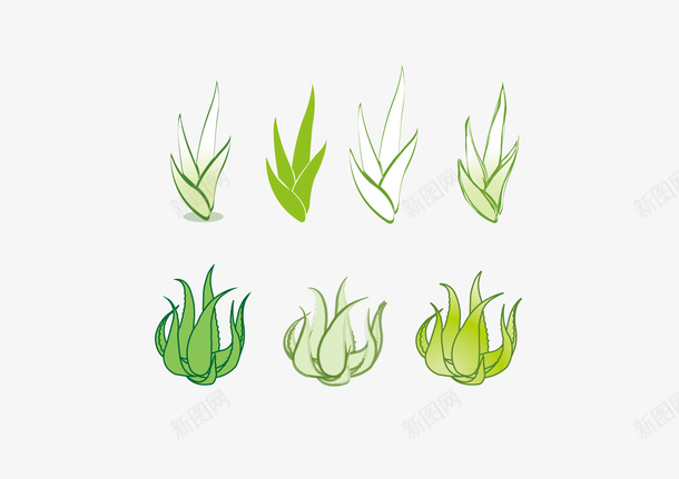 芦荟植物矢量图eps免抠素材_新图网 https://ixintu.com 300像素图 EPS图免抠 大图免抠 植物 芦荟 高清免抠 矢量图