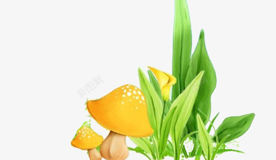 草和蘑菇png免抠素材_新图网 https://ixintu.com 梦幻草和蘑菇