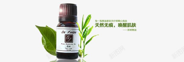 绿色健康茶树精油psd免抠素材_新图网 https://ixintu.com 产品实物 化妆品 绿色