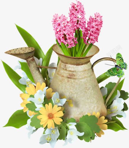 风信子鲜花png免抠素材_新图网 https://ixintu.com 水壶 粉色 风信子 鲜花