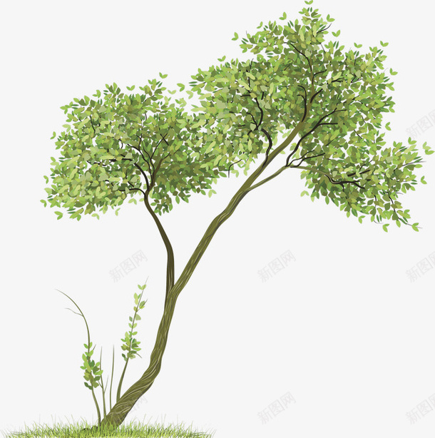 水彩绿色大树png免抠素材_新图网 https://ixintu.com 大树 手绘 水彩 绿色