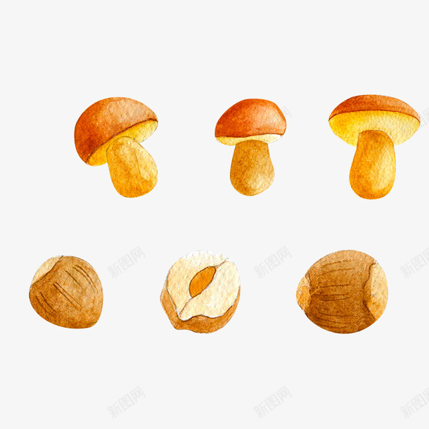 蘑菇和干果png免抠素材_新图网 https://ixintu.com png图形 png装饰 干果 手绘 蘑菇 装饰