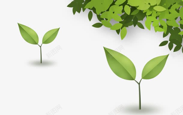 树叶和树苗png免抠素材_新图网 https://ixintu.com 小树芽 小树苗 树叶 树苗 绿色