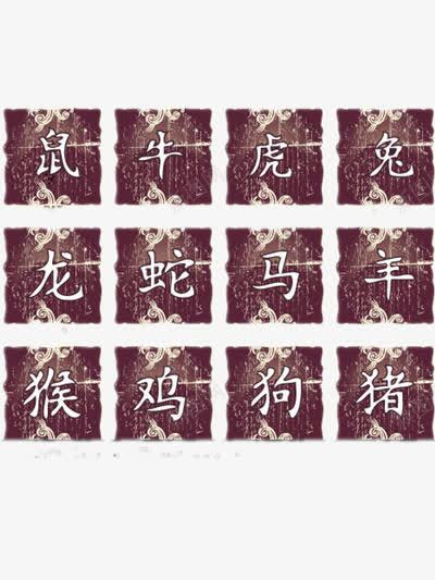 十二生肖图案png免抠素材_新图网 https://ixintu.com 十二生肖 字体 牌子 装饰