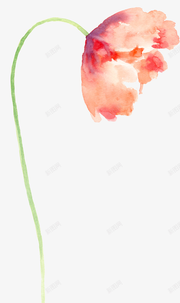 弯腰的花朵png免抠素材_新图网 https://ixintu.com 佝偻 弯腰 植物 水彩 花朵