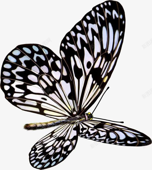 黑色花纹蝴蝶手绘png免抠素材_新图网 https://ixintu.com 花纹 蝴蝶 黑色