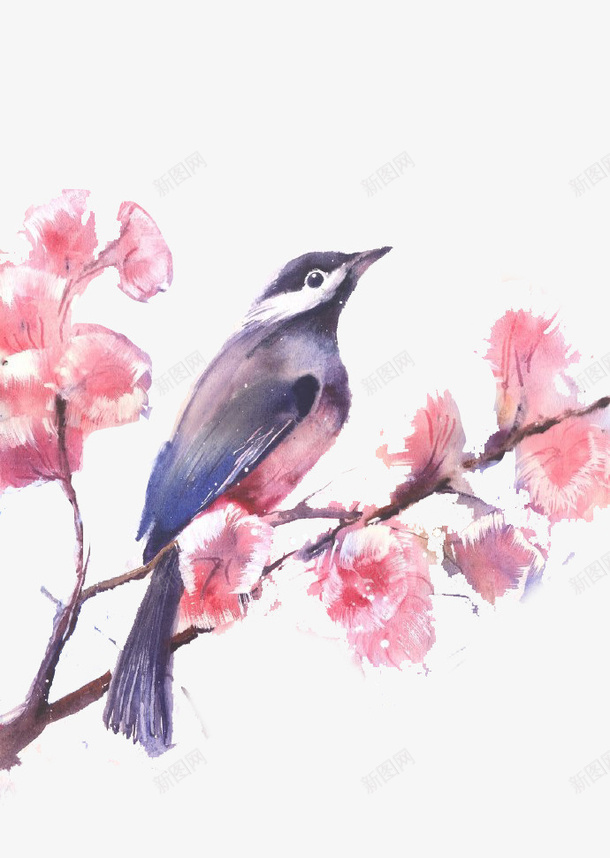 水彩手绘鸟儿与花朵psd免抠素材_新图网 https://ixintu.com 水彩 水彩花朵 花朵 鸟儿