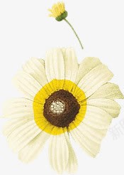 英伦复古风花儿花卉png免抠素材_新图网 https://ixintu.com 复古 花儿 花卉 英伦