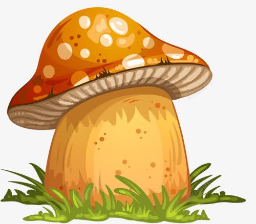 卡通蘑菇png免抠素材_新图网 https://ixintu.com 姣掕槕鑿 棣欒弴 铇戣弴 閲庣敓鑿