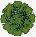 景观彩平图png免抠素材_新图网 https://ixintu.com 俯视图 景观彩平图 素材
