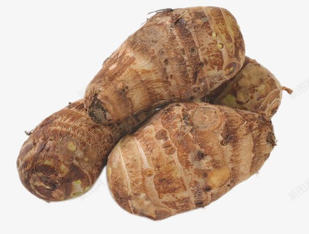 芋头食材png免抠素材_新图网 https://ixintu.com 新鲜 根茎 芋头 蔬菜 食材 食物