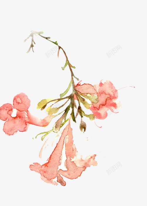 粉色铃兰花png免抠素材_新图网 https://ixintu.com 植物 粉色 绿茎 铃兰花
