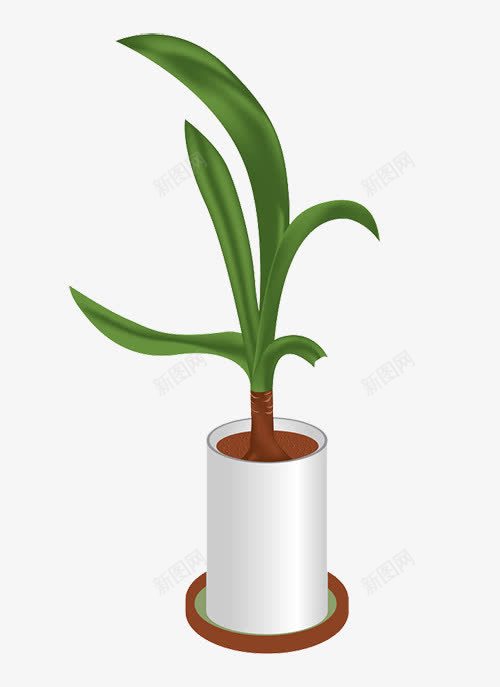 蒜苗植物png免抠素材_新图网 https://ixintu.com 植物 环境 种植 绿色