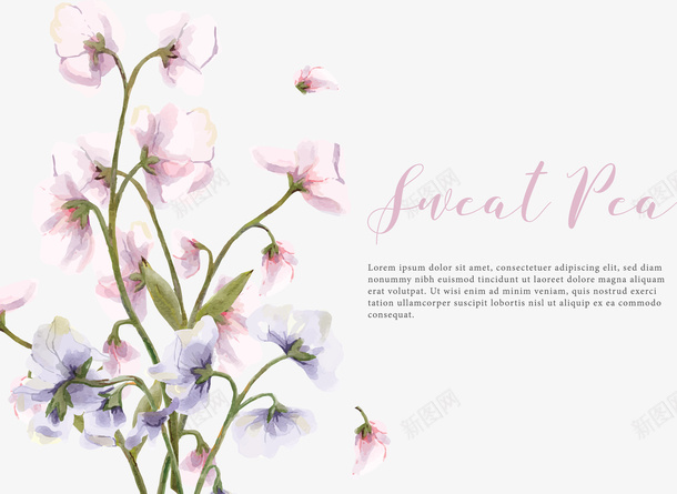 彩绘花卉植物插画矢量图eps免抠素材_新图网 https://ixintu.com 位图图形 印刷图 彩绘 手绘 手绘彩色 插画 植物 花卉 装饰图 矢量图