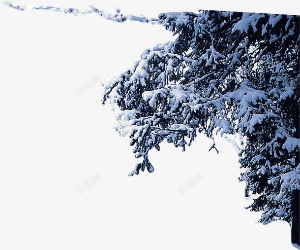 白雪压迫树枝美景png免抠素材_新图网 https://ixintu.com 压迫 树枝 白雪 美景