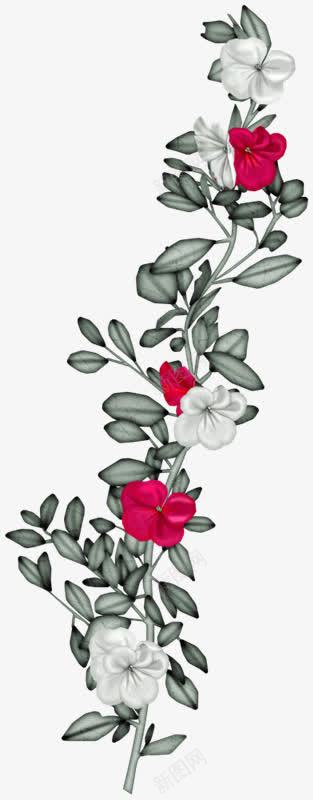 水彩白花红色花朵png免抠素材_新图网 https://ixintu.com 水彩 白花 红色 花朵