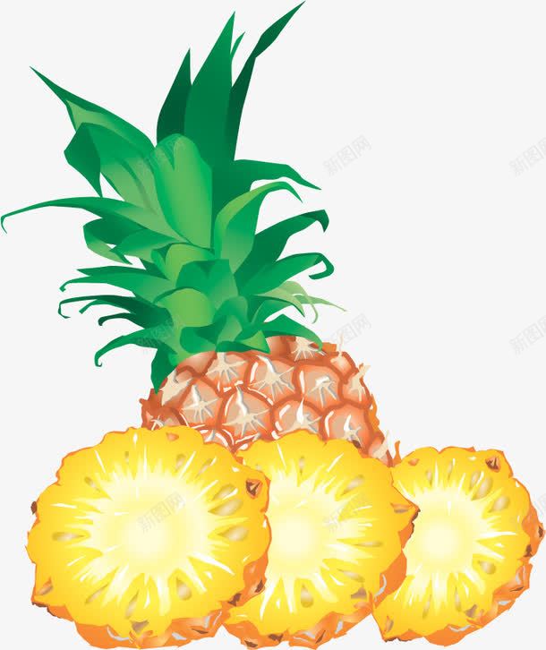 菠萝png免抠素材_新图网 https://ixintu.com 凤梨 水果菠萝 绿叶 黄色